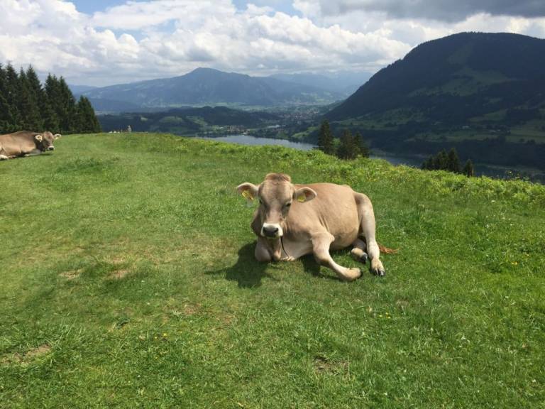 foto14