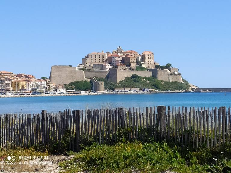 Appartement Calvi