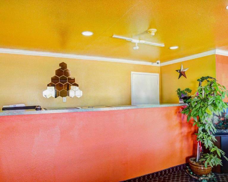 Nites Inn — photo 4