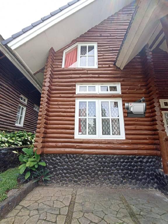 foto2