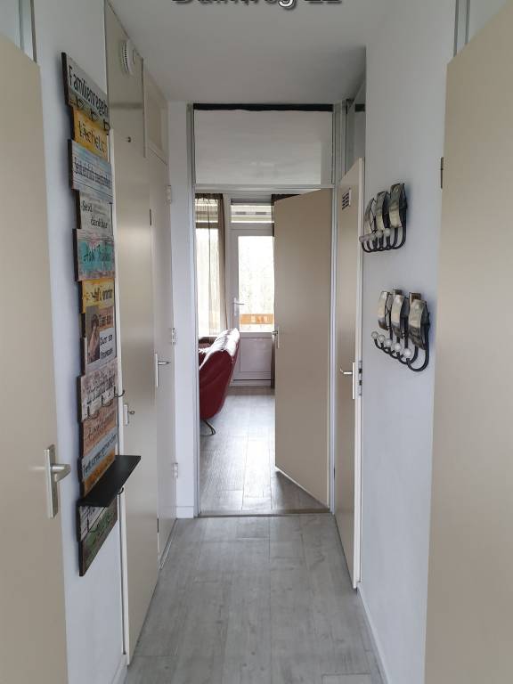 Beautiful apartment with pool | Close to the beach | Pets are welcome — photo 5