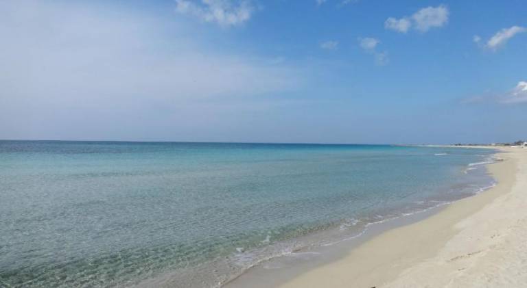 Vacation home | Beach nearby | Pets allowed — photo 5