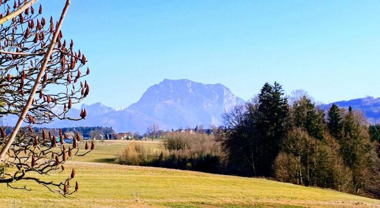 24 m&sup2; Ferienwohnung