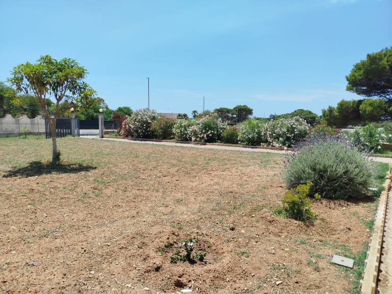 foto42