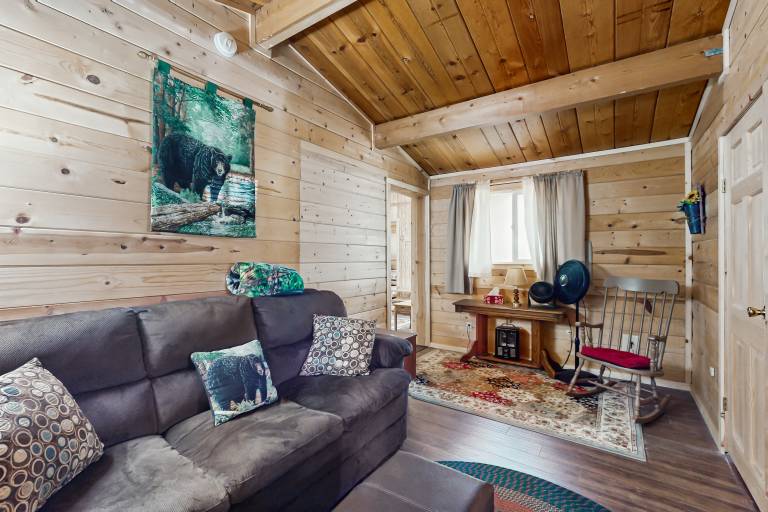 7 Mi to Ski Resorts: Dog-Friendly Sugarloaf Cabin — photo 5
