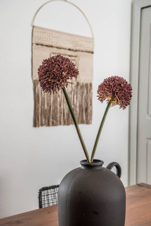 foto17
