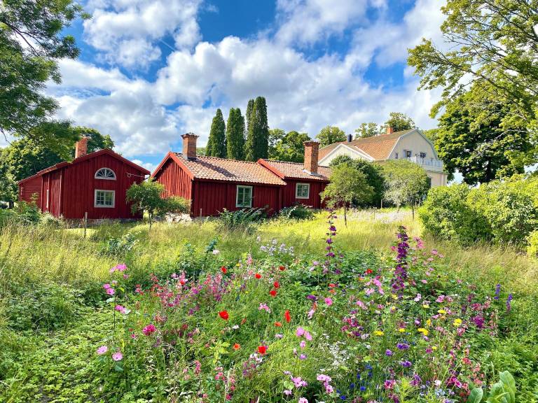 Kajuta Eskilstuna