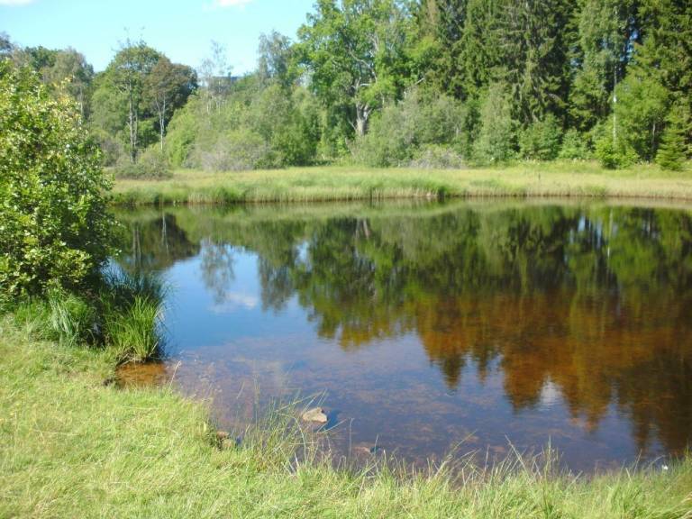foto17