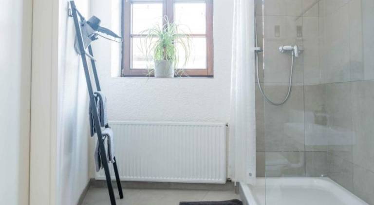 Holiday apartment with terrace in Speyer