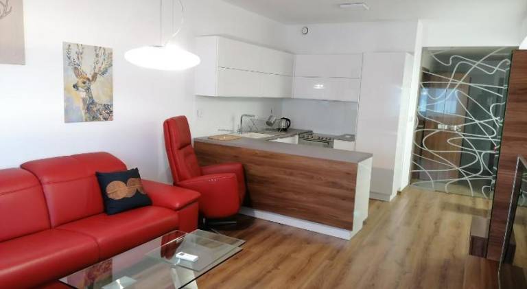 Rental apartment | Pets are welcome — photo 2