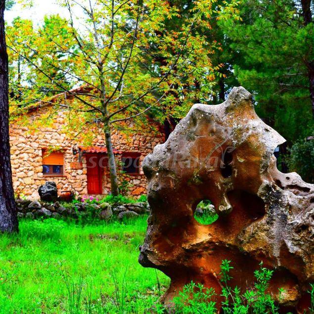 Casa rural  Molinicos