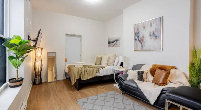 Apartment | Next to Mary | Pets are welcome in Montréal, QC
