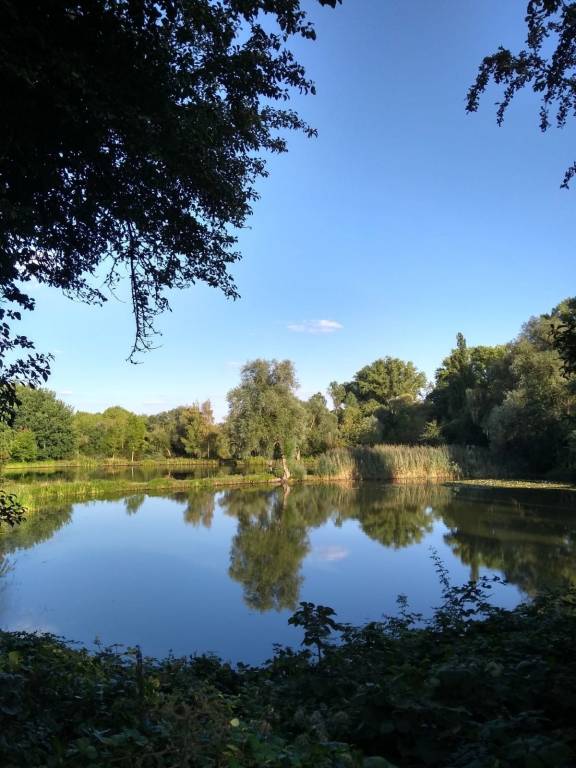 foto13