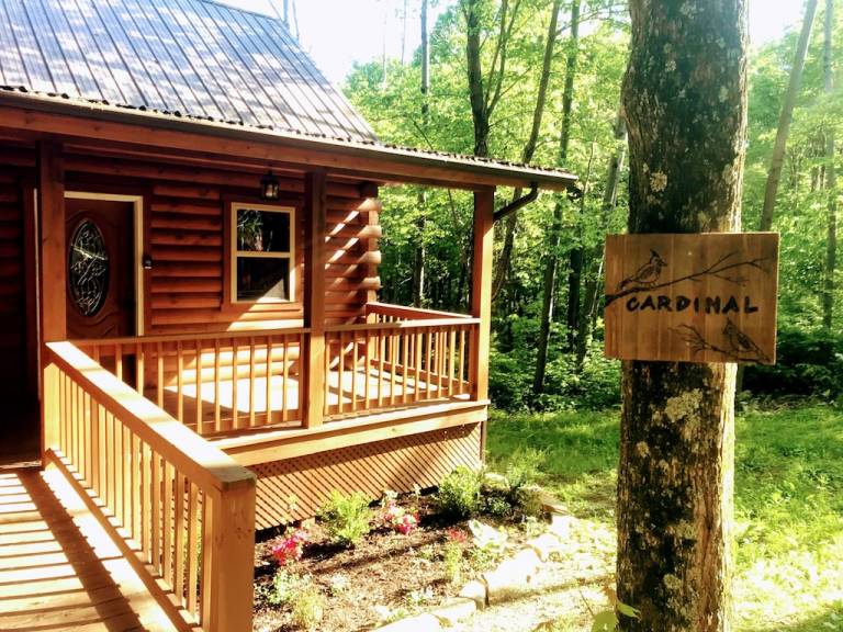 Cabin Logan