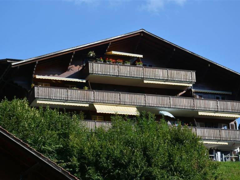 Appartement Zweisimmen
