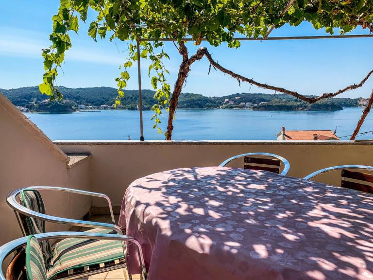 Ferienwohnung in Supetarska Draga, Rab Insel , Kroatien für max. 4 Gäste