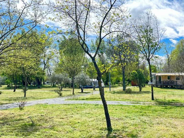 foto40