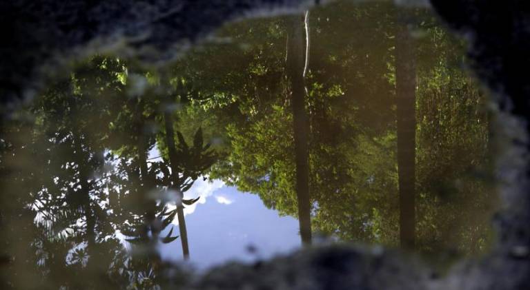 foto14