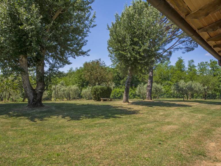 foto43