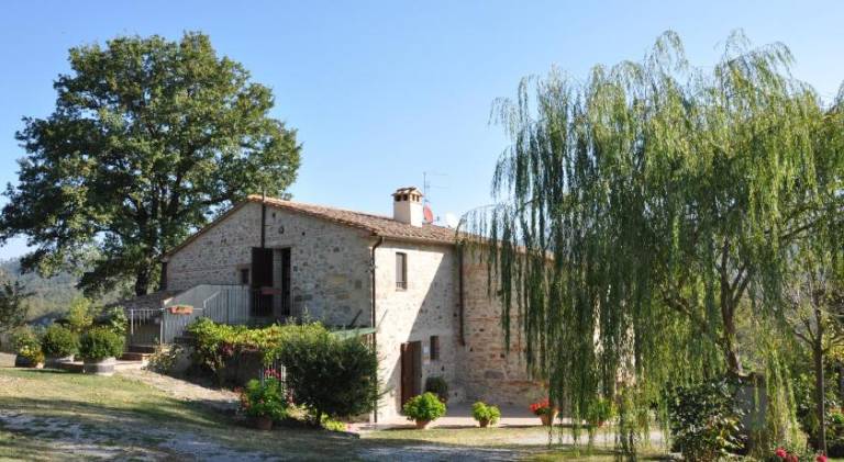 Villa with pool | Pets are welcome in Sarteano