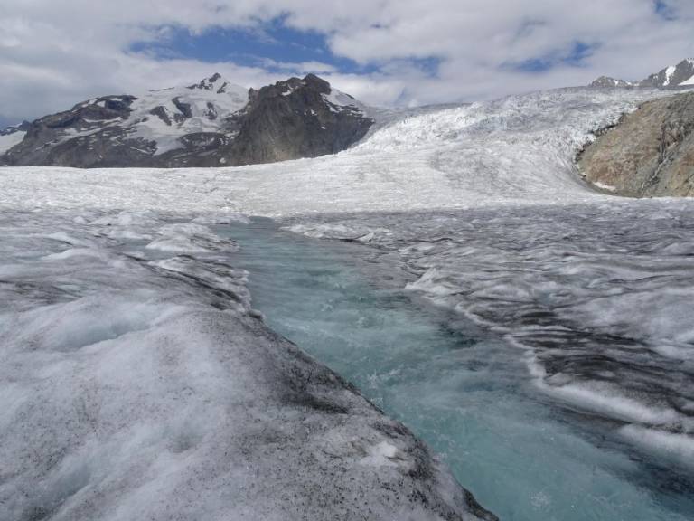 Appartement Riederalp