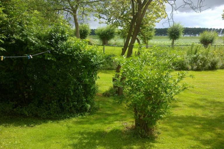 foto14