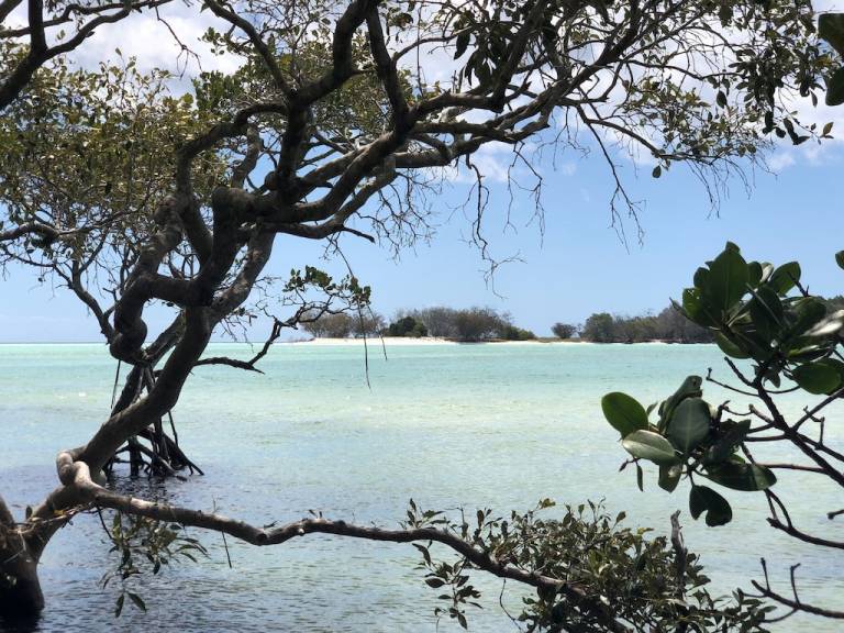 House Fraser Island