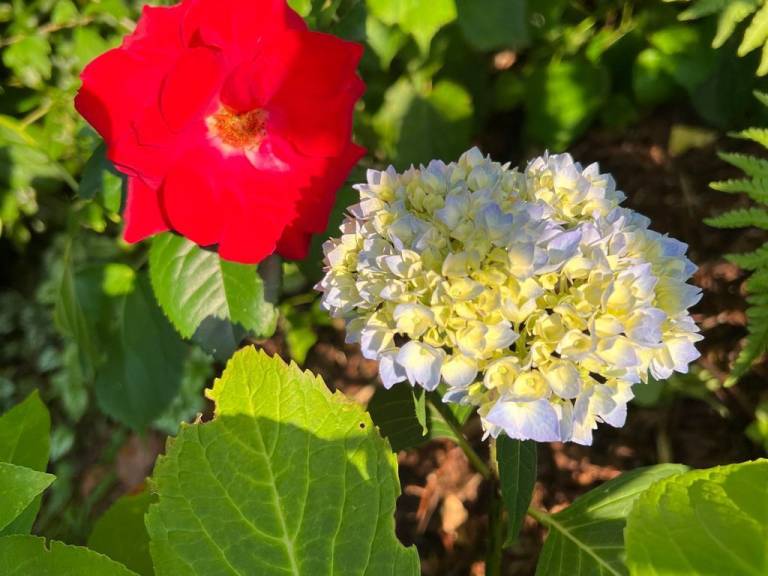 foto26
