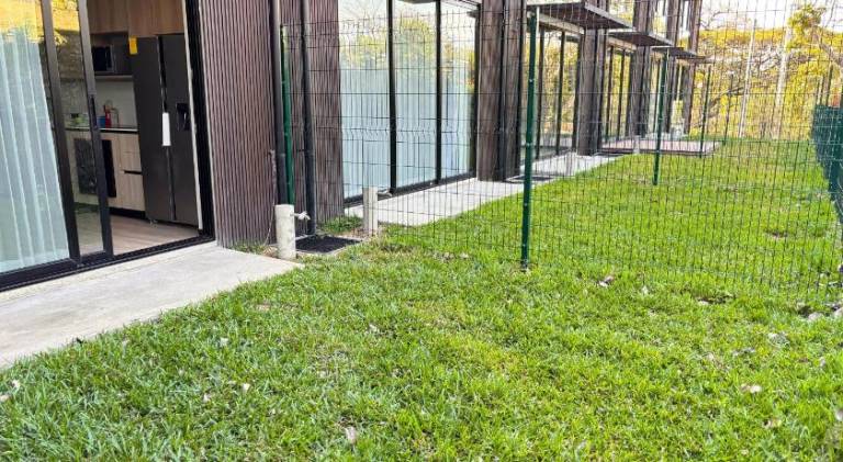 foto43