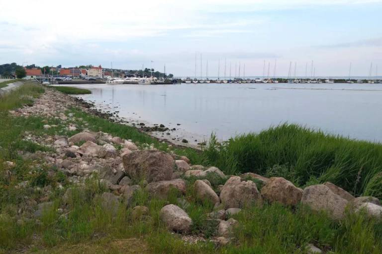 foto14