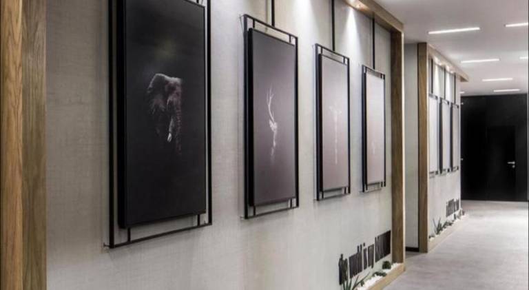 Hotel Harrisson Guadalajara Centro — photo 4
