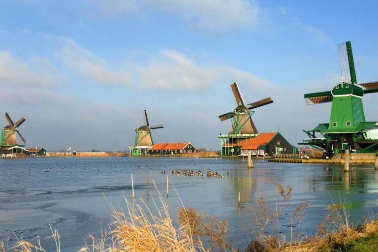 foto19