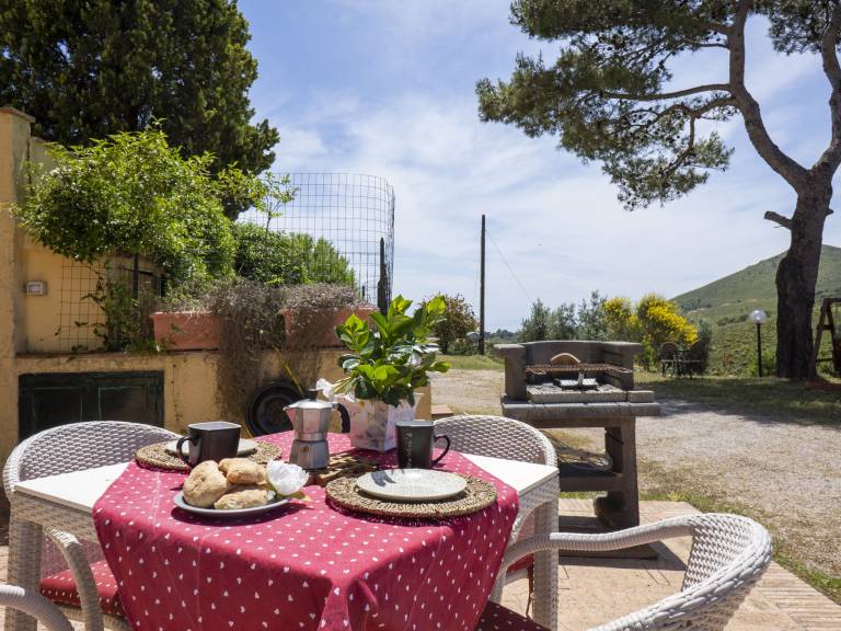 Fully equipped wonderful rental apartment with terrace, barbecue & pool | Sea view | Dogs allowed — photo 3