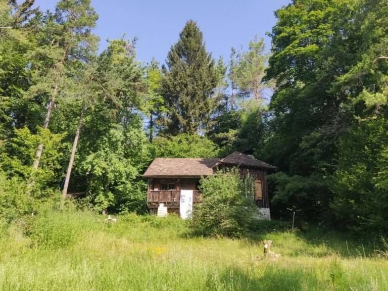 foto1