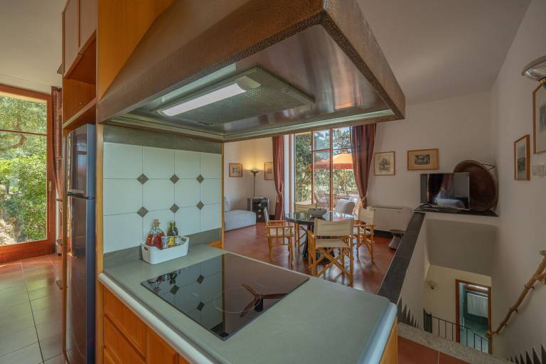 foto20