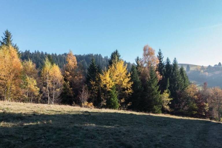 foto11