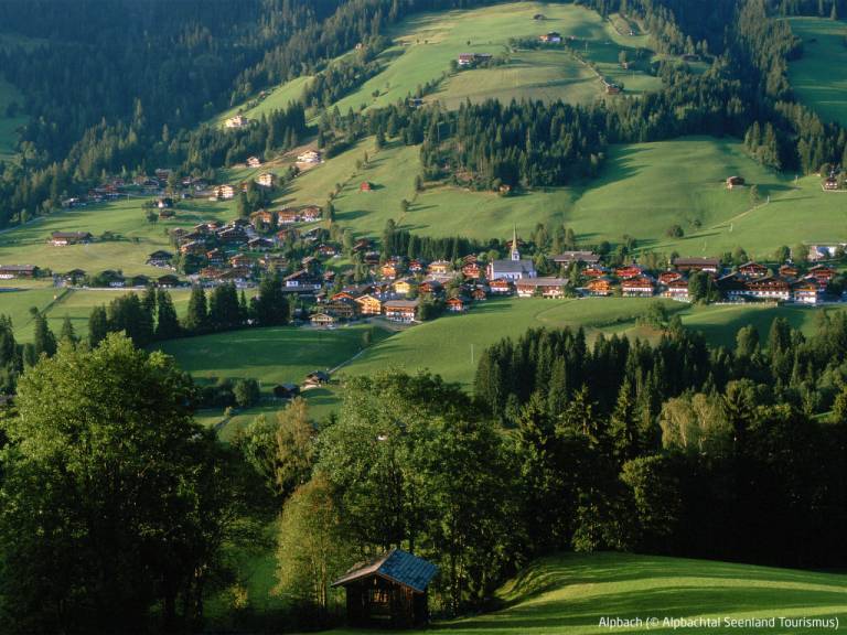 foto11