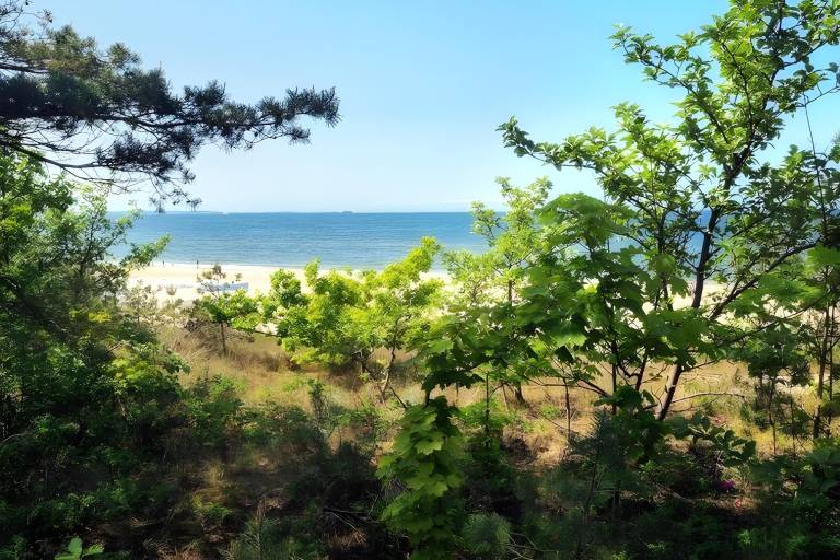 Holiday apartment with garden & terrace | Beach nearby | Dogs allowed in Miedzyzdroje