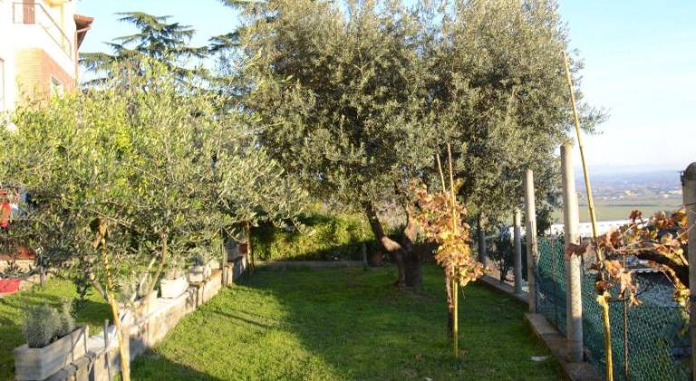 foto8