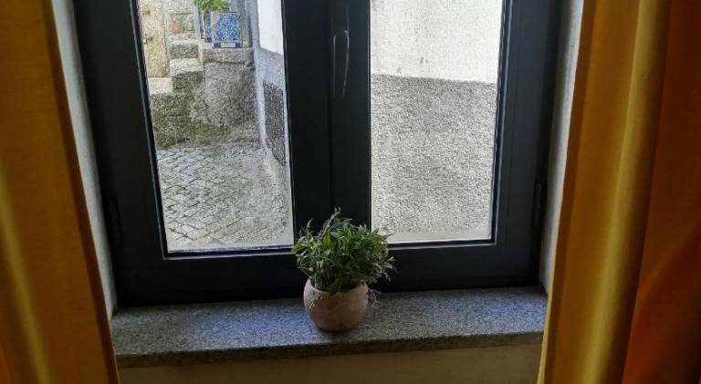 foto19