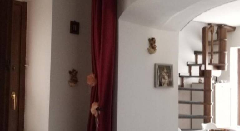 Bnb Peter Pan — photo 2