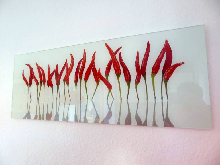 foto14