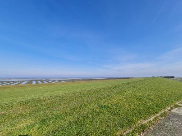foto17