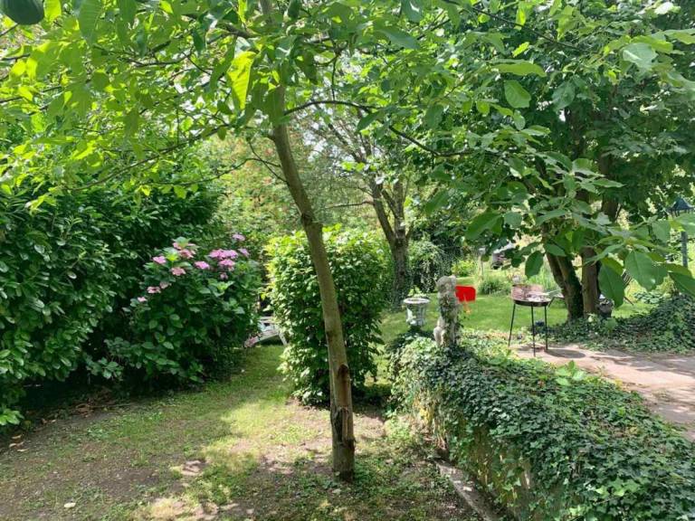 foto21