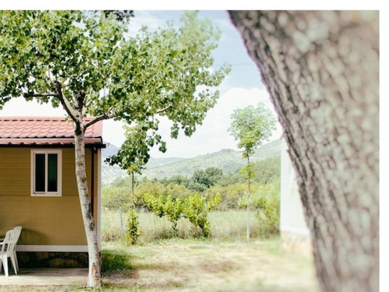 Mobile home with pool & terrace | Pets are welcome — photo 5