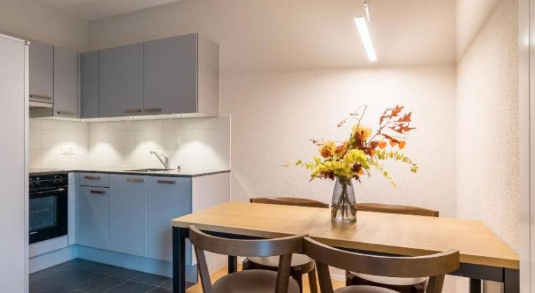 Charming holiday apartment | Pet-friendly in Wilderswil