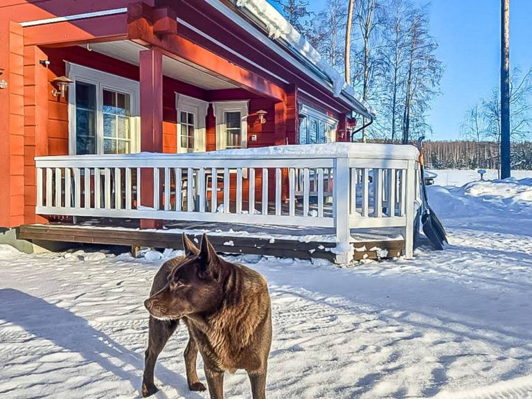 Vacation home with terrace & sauna | Nature view in Lahti