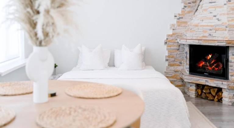 Rental apartment | Near Albert Street | Dogs allowed in Riga