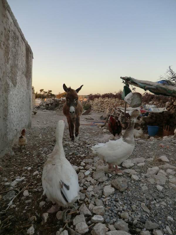 Sidi Kaouki Casa Al Vent — photo 3