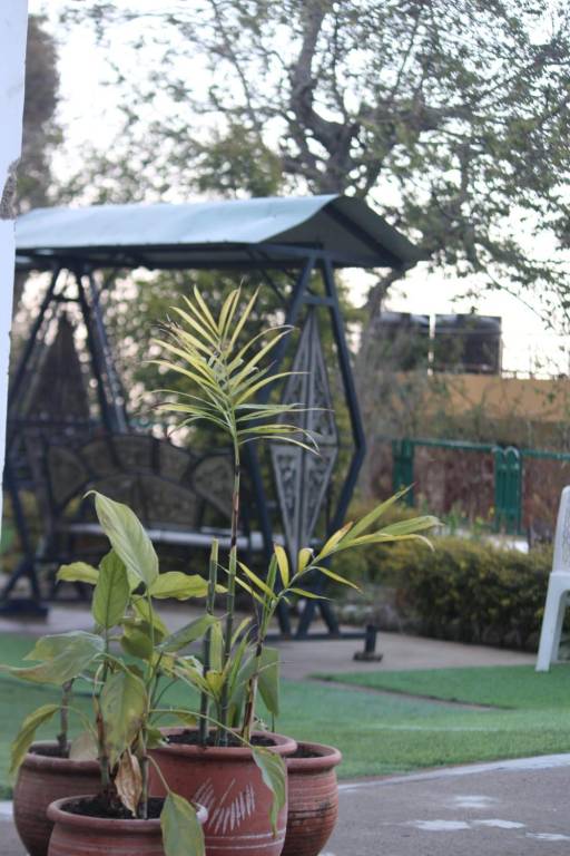 Heera Lodge Kasauli — photo 4